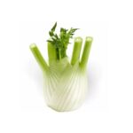 Finocchi freschi non Trattati100% Biologici Prodotti in Sicilia prodotto Top