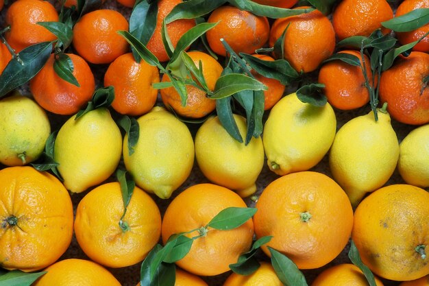 citrus-fruits-closeup-oranges-lemons-tangerines-background_543222-728