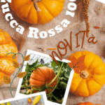 Estock1food  Zucca Rossa Siciliana 100% Biologica
